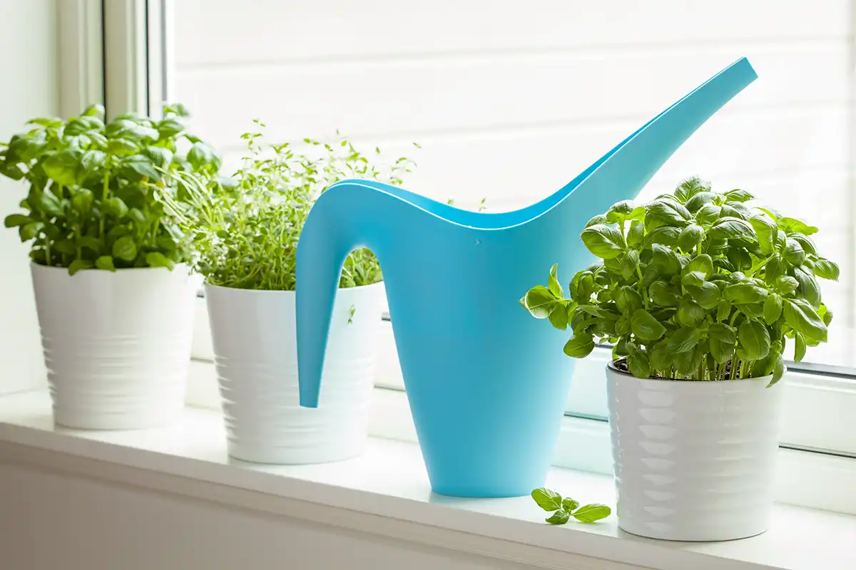 Southernmerri Trusted Home Watch Service